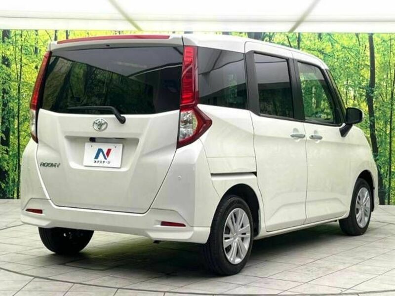 ROOMY-17