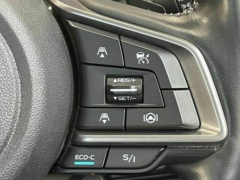 FORESTER-4