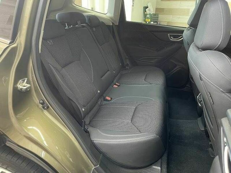 FORESTER-11