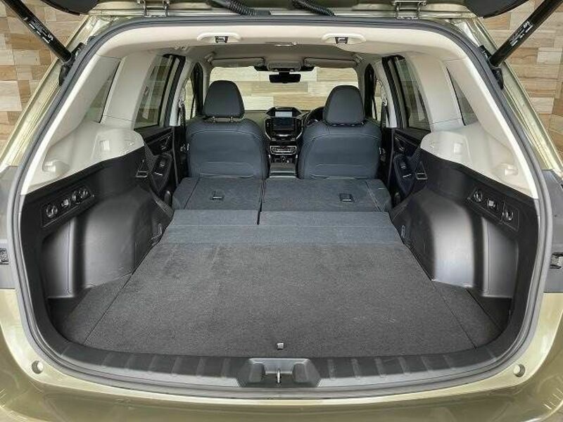 FORESTER-12