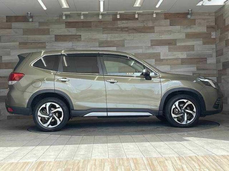 FORESTER-13
