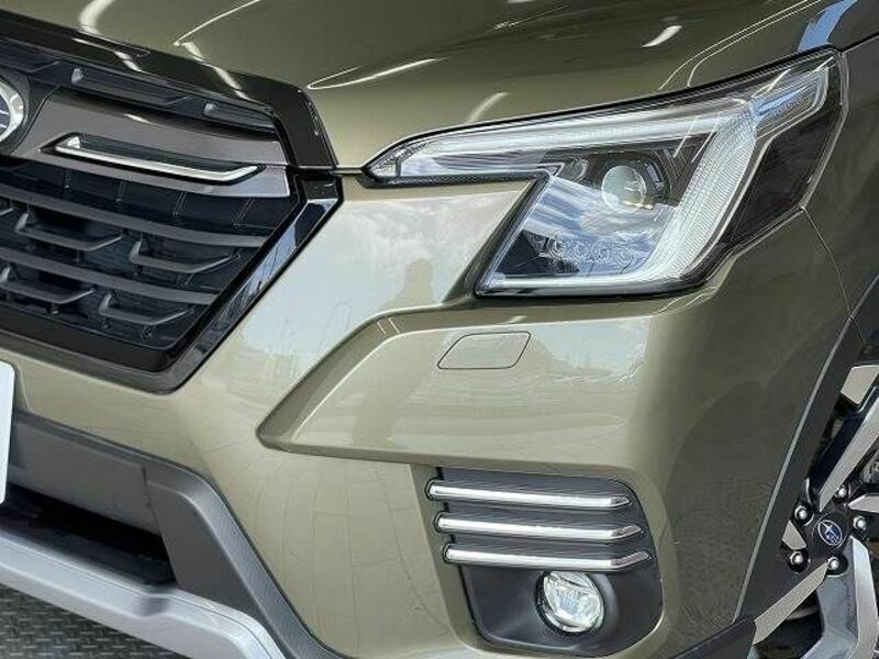 FORESTER-19