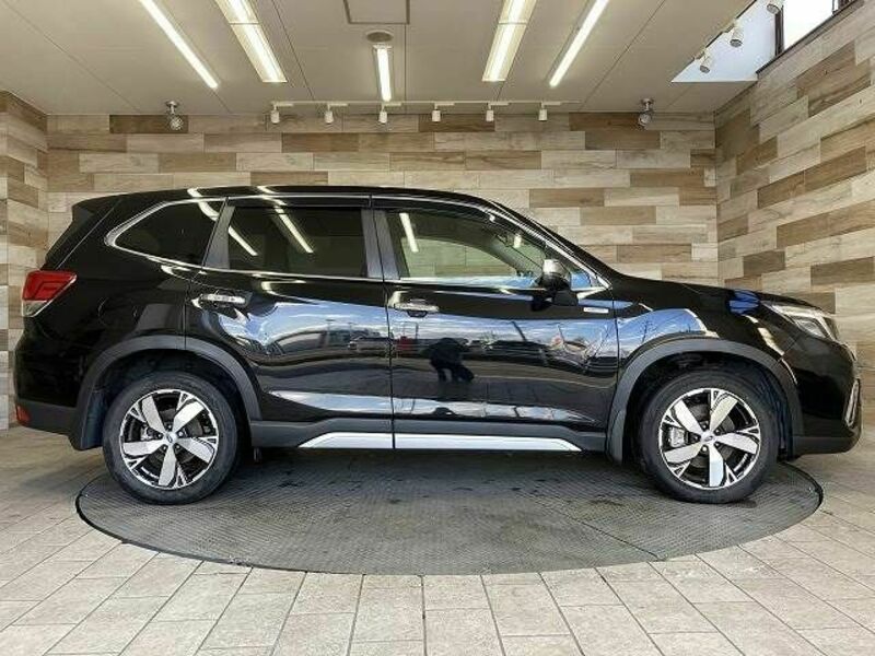 FORESTER-13