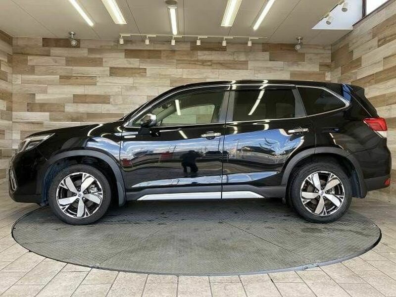 FORESTER-14