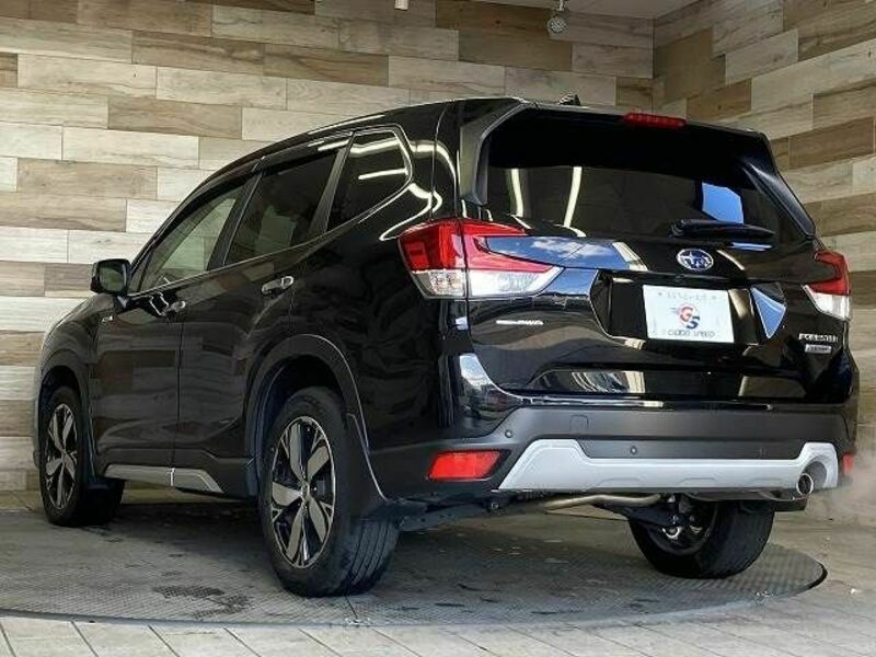 FORESTER-15