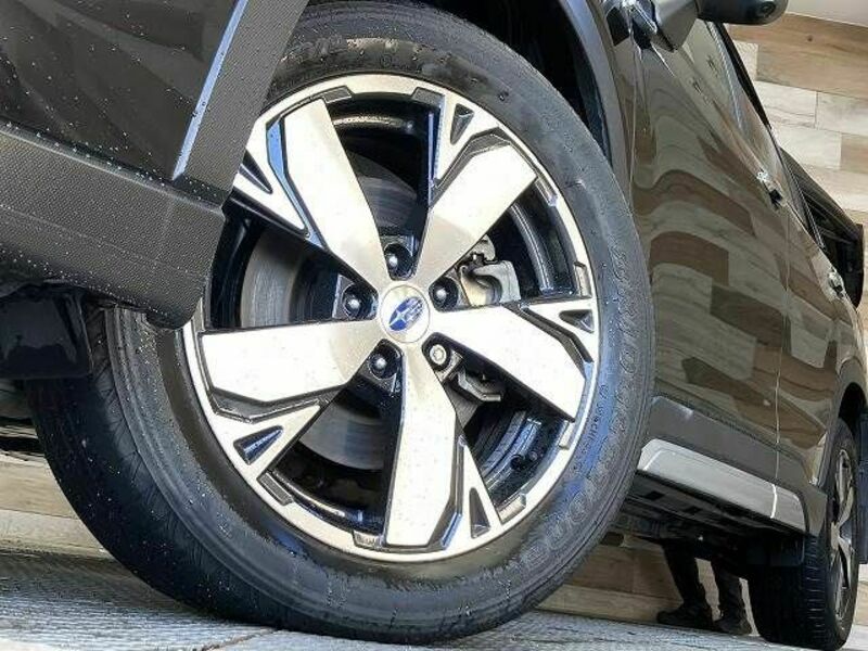 FORESTER-18
