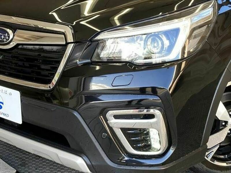 FORESTER-19