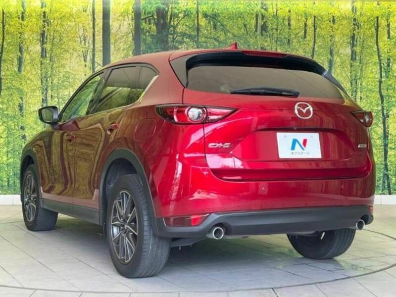 CX-5-17
