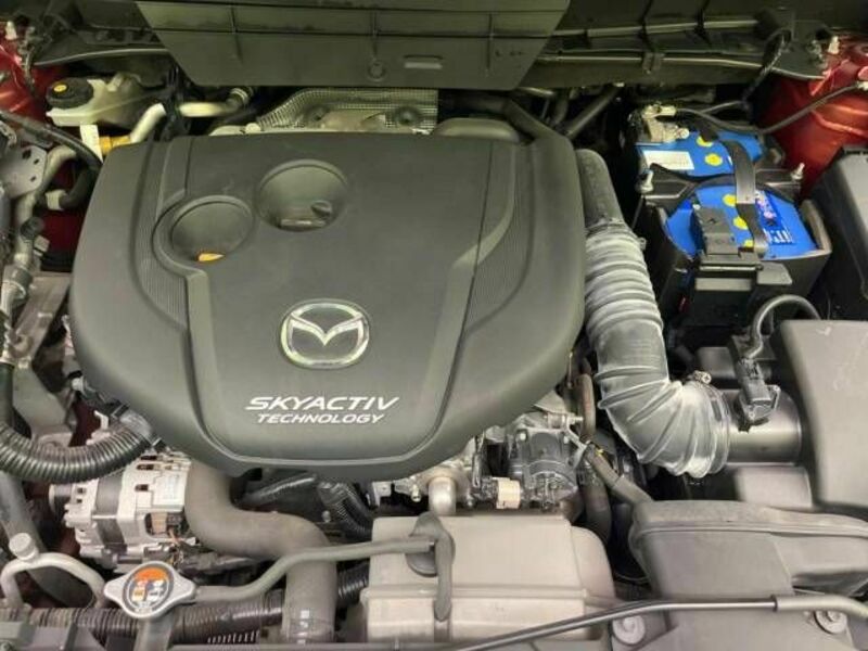 CX-5-19