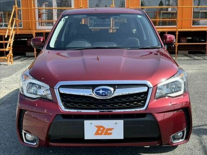 FORESTER-8
