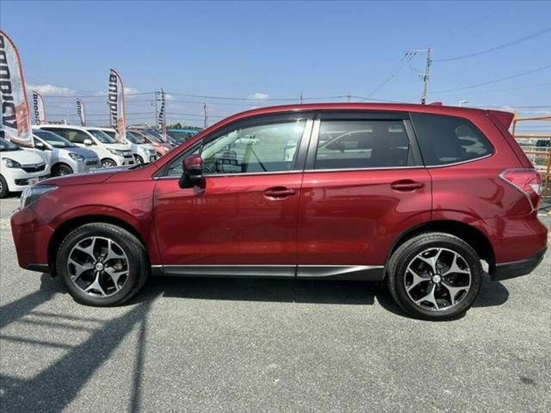 FORESTER-10