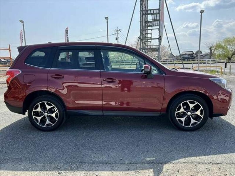FORESTER-11