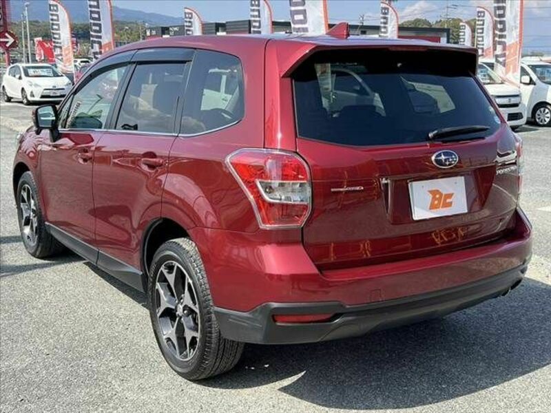 FORESTER-14