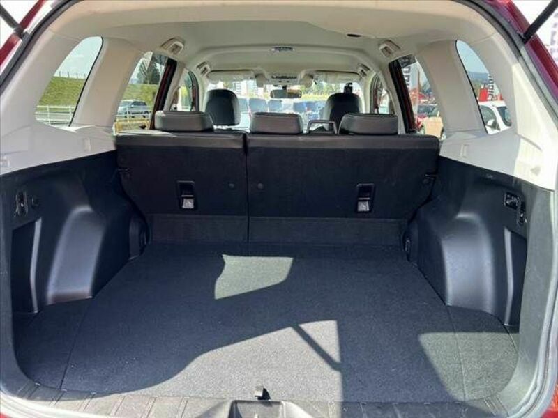 FORESTER-19