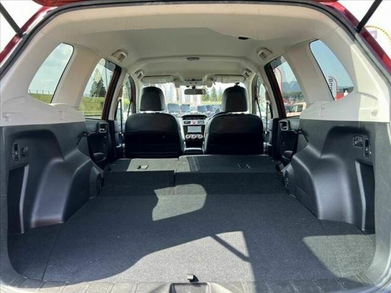 FORESTER-20