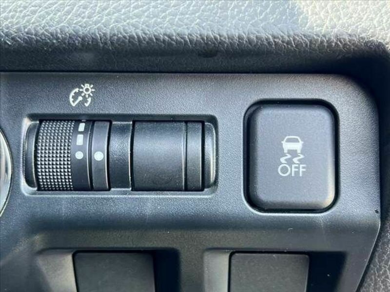 FORESTER-25