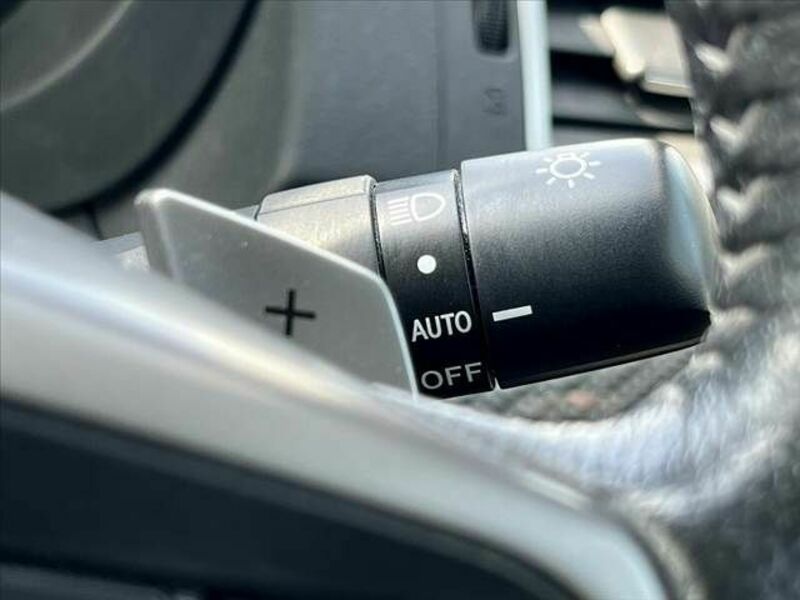 FORESTER-29
