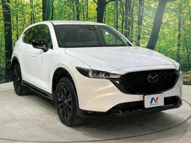CX-5-16