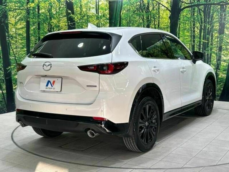 CX-5-17