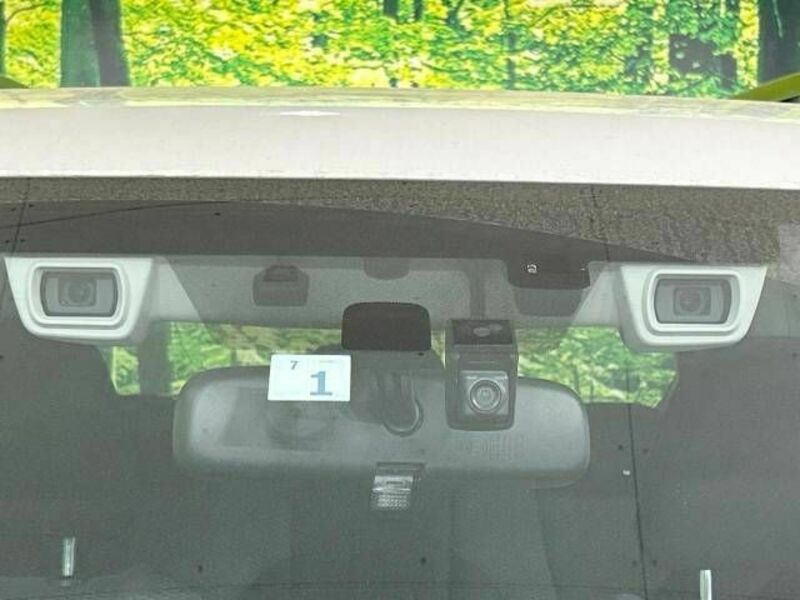 FORESTER-2