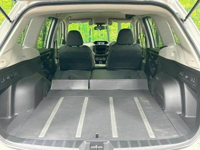 FORESTER-9
