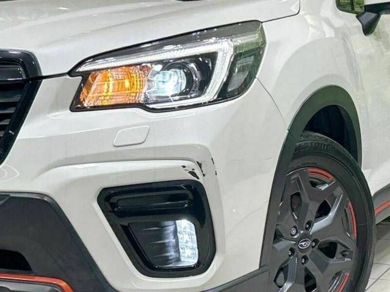 FORESTER-11