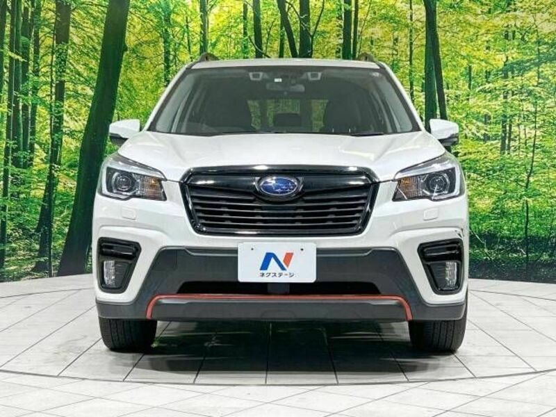 FORESTER-13