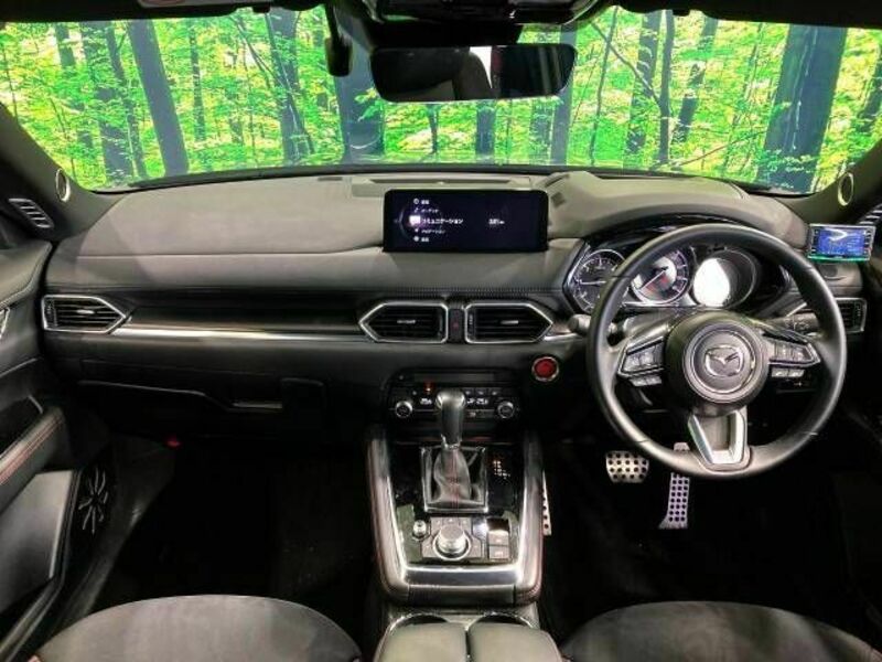 CX-8-1