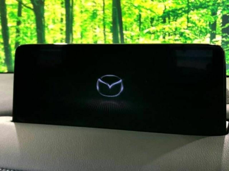 CX-8-3