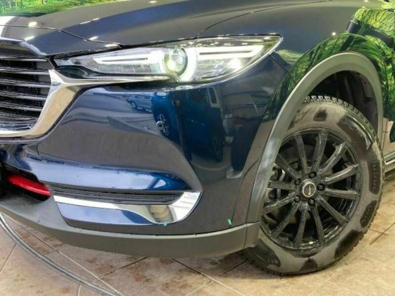 CX-8-13
