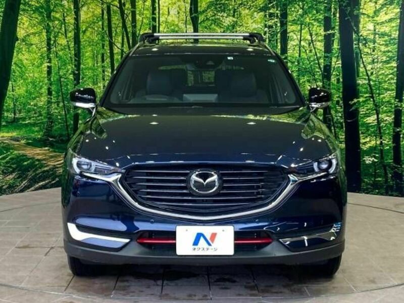 CX-8-14