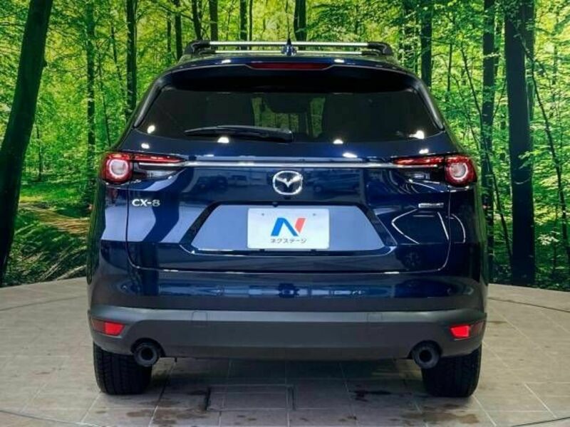 CX-8-15