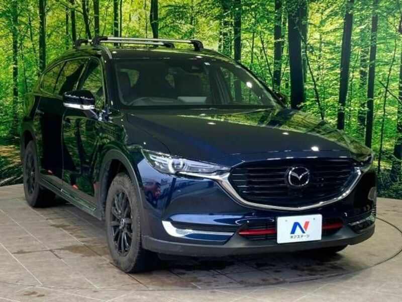 CX-8-16