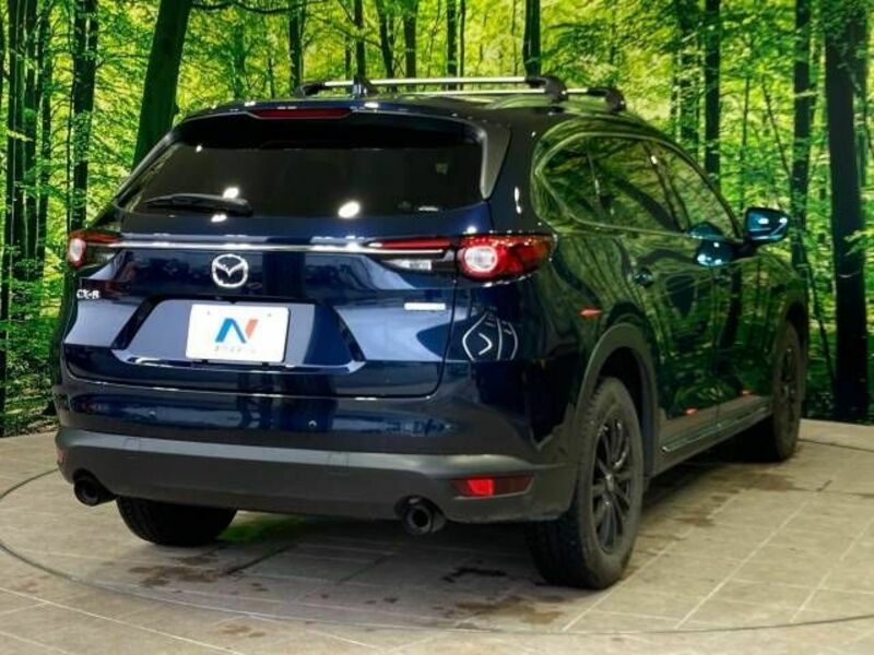 CX-8-17