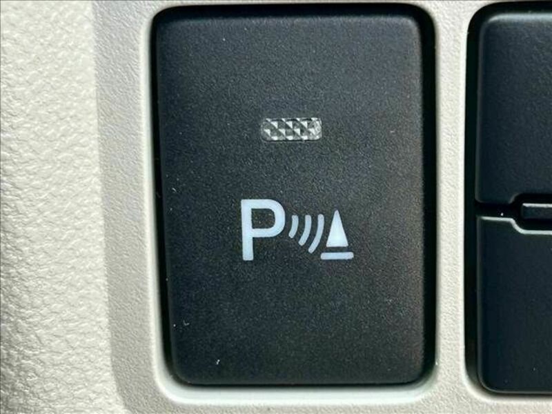 PASSO-25