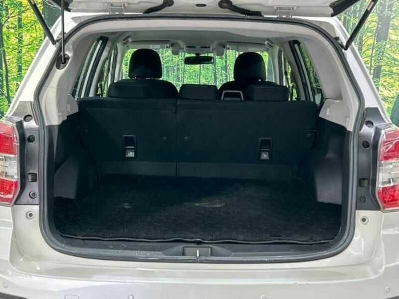 FORESTER-10