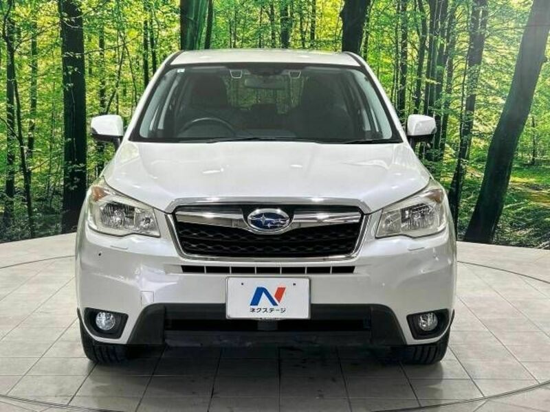 FORESTER-14