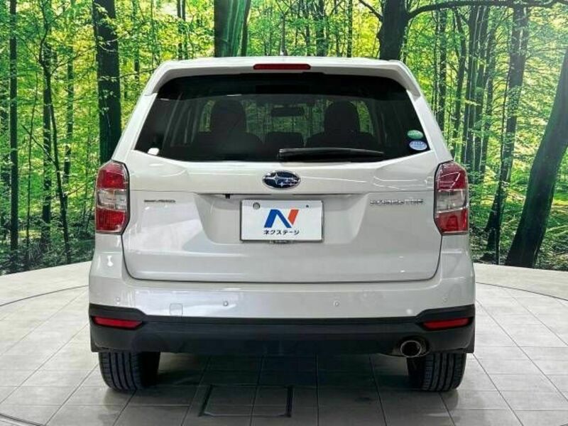 FORESTER-15