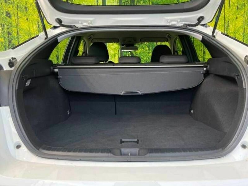 PRIUS-9