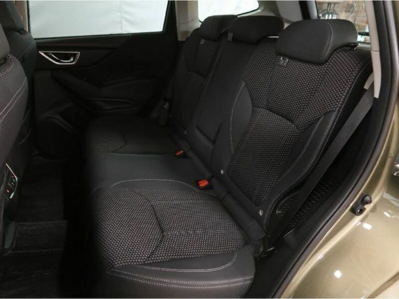 FORESTER-6