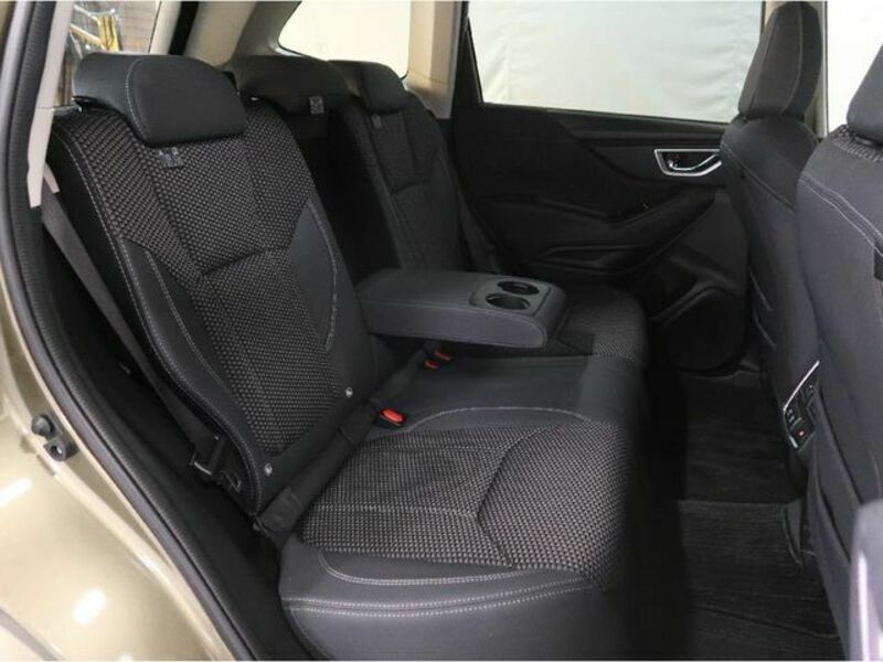 FORESTER-7