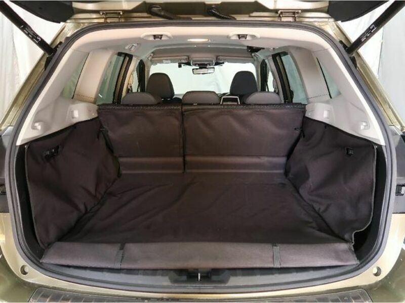FORESTER-8