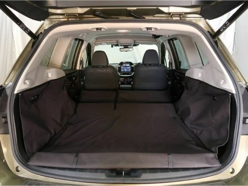 FORESTER-9