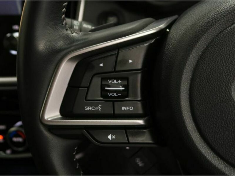 FORESTER-10