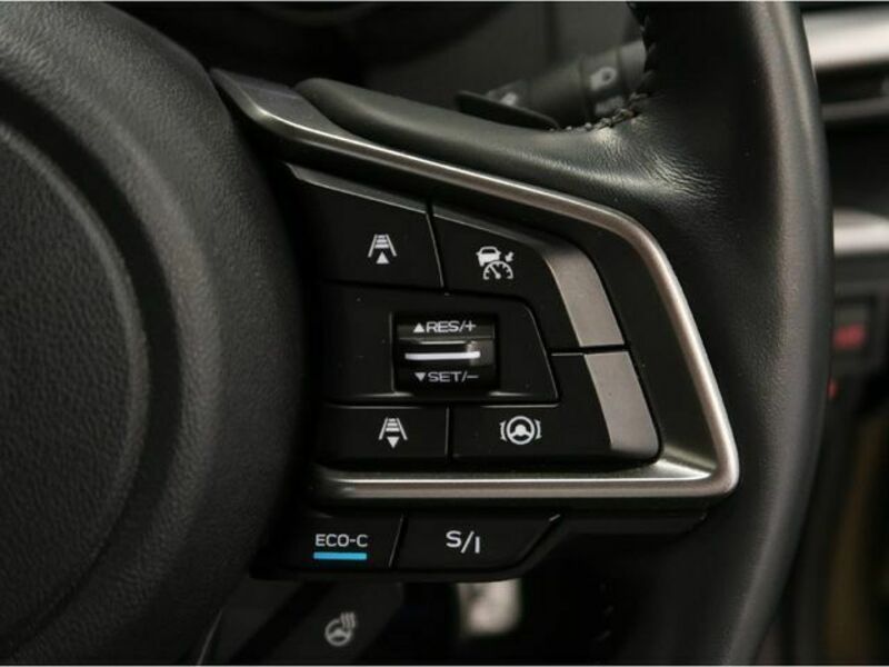 FORESTER-11