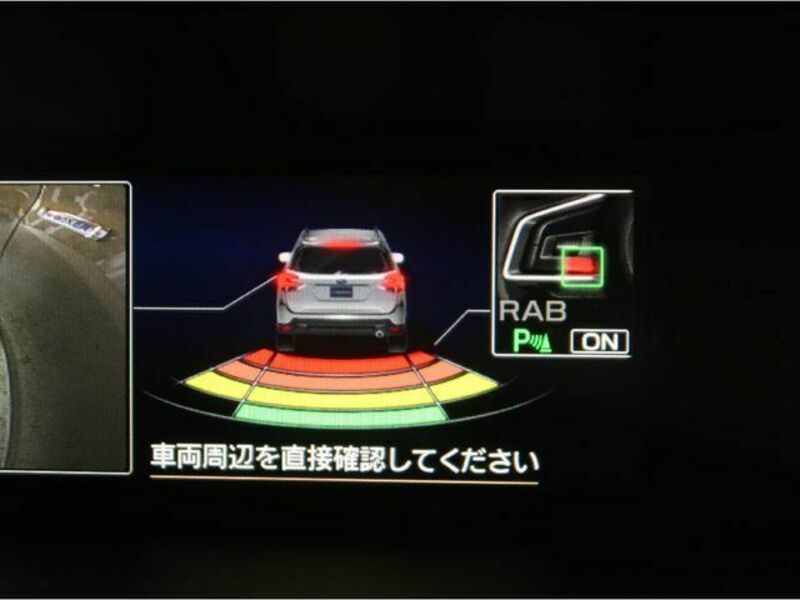 FORESTER-16