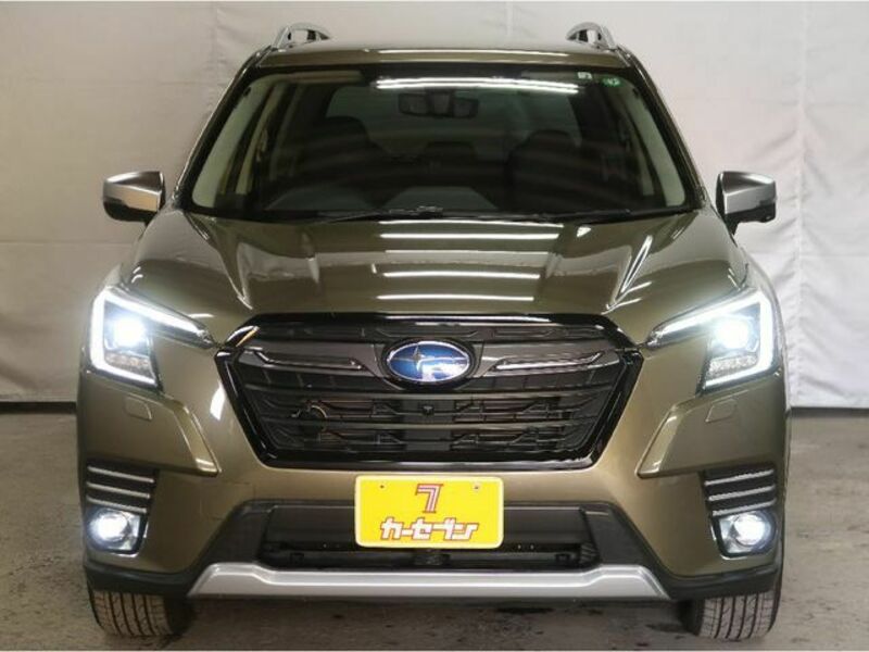 FORESTER-21