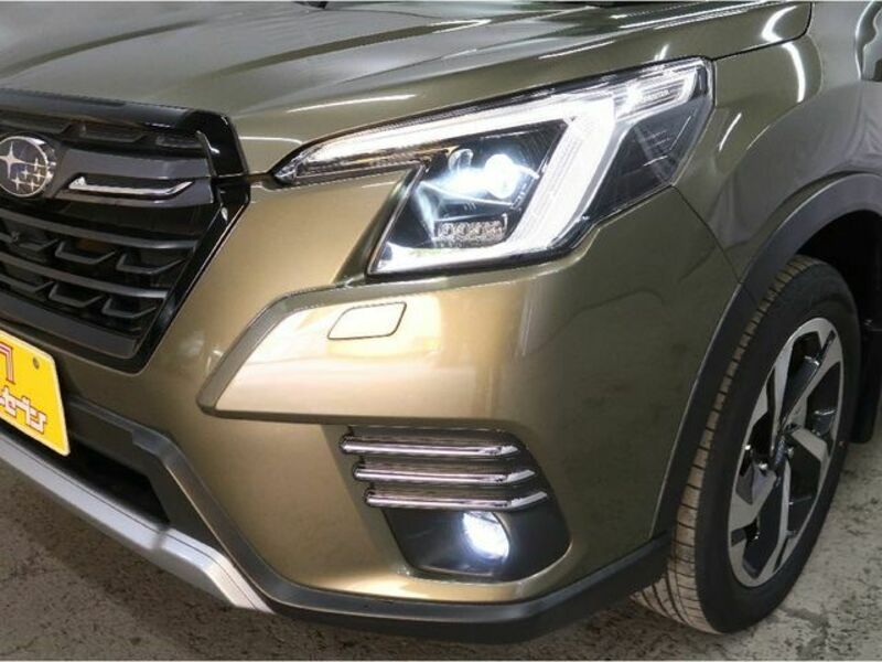 FORESTER-22