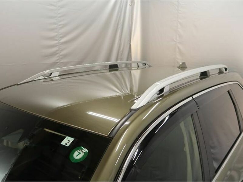 FORESTER-23