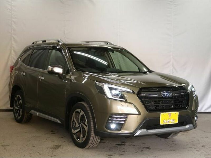 FORESTER-24